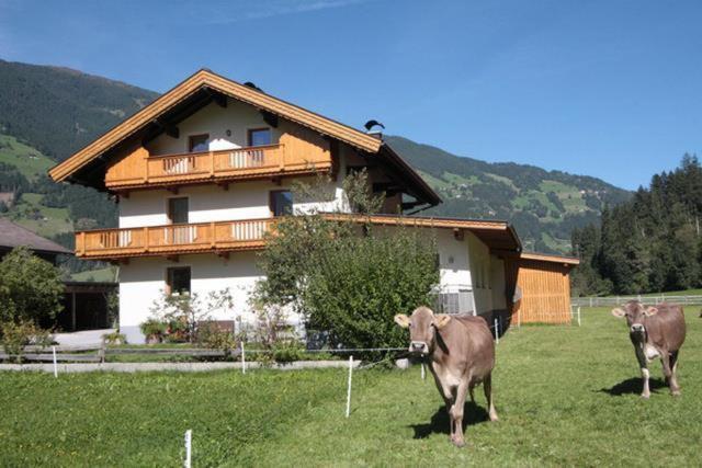 Gaestehaus Hauser Hainzenberg Kültér fotó